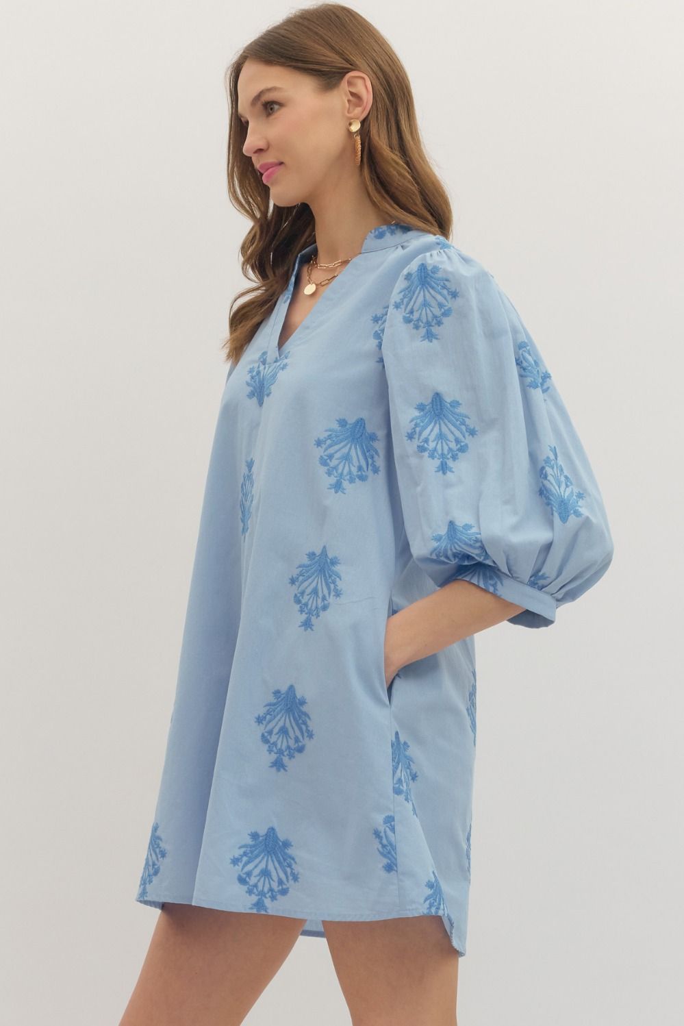 Blue Embroidered Print Mini Dress